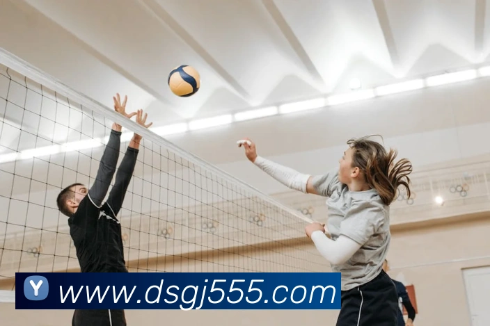 东升国际平台生态图