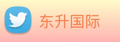 东升国际 Logo